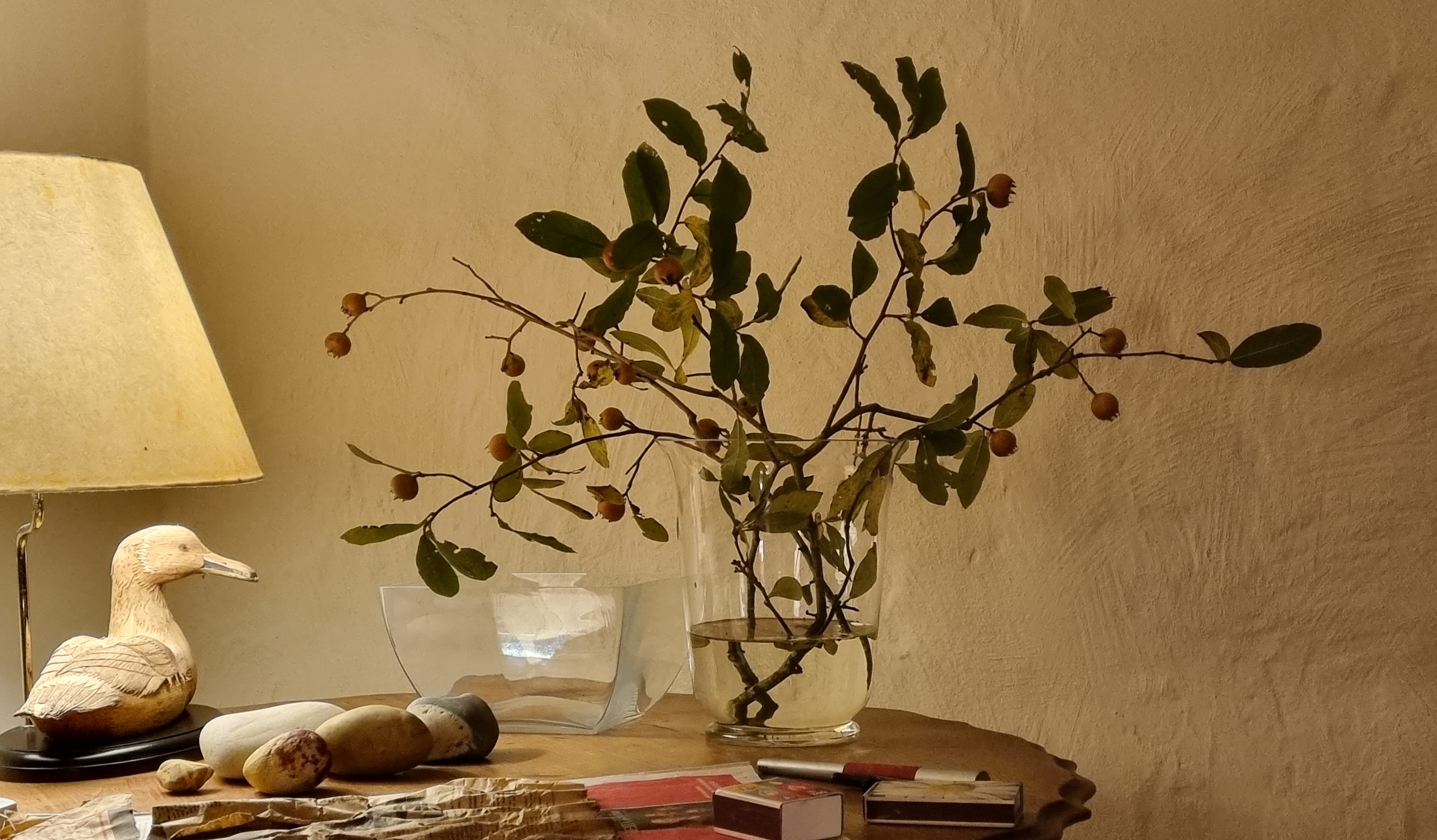 composition leny studio.jpg