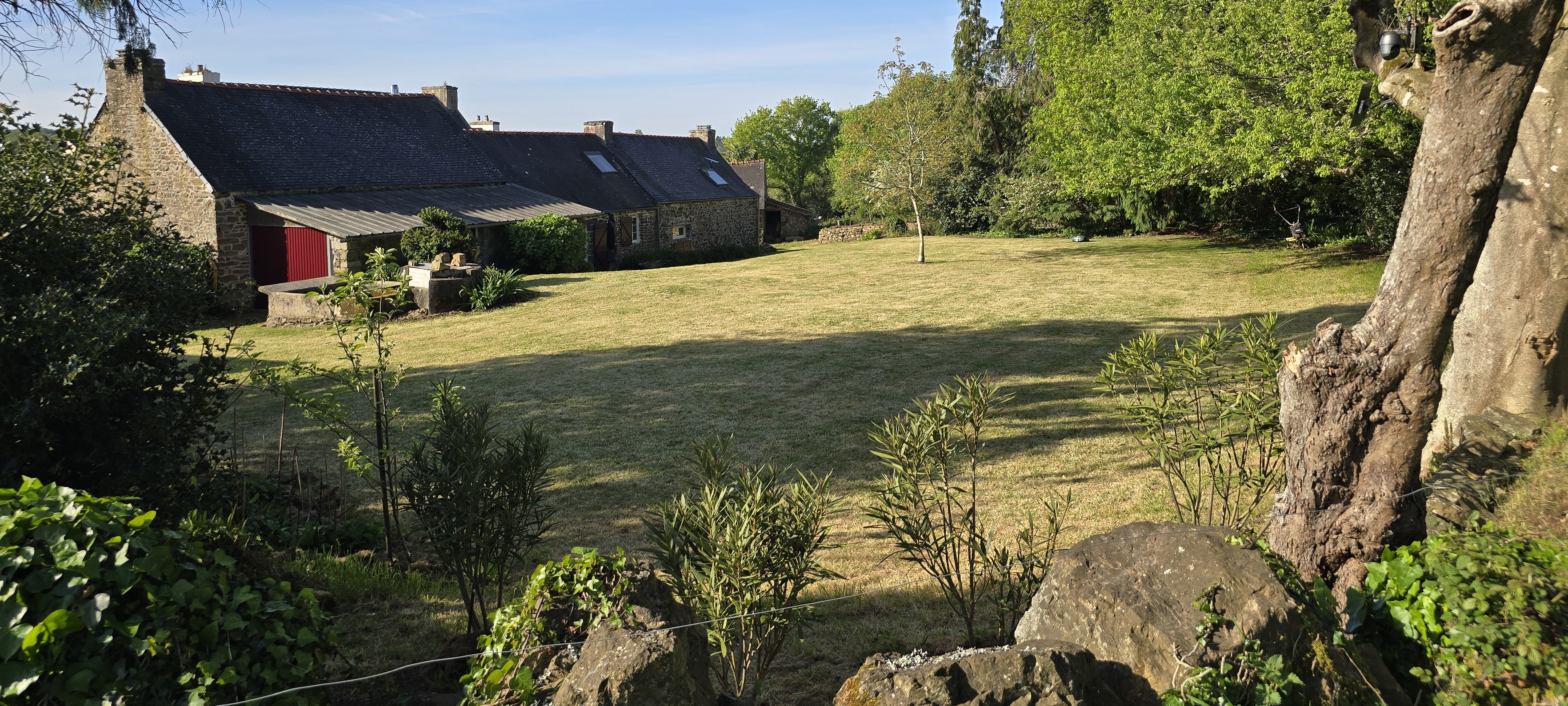 vue du jardin 2026.jpg